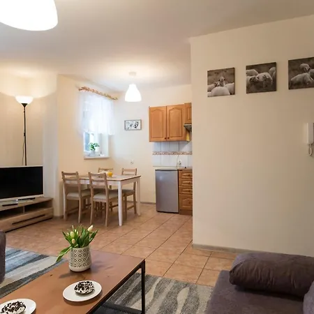 Apartament Negro Centrum *