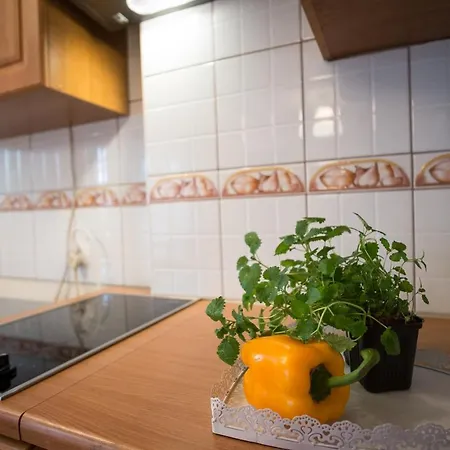Apartament Negro Centrum Apartment